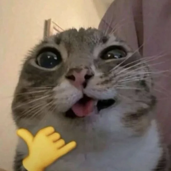 Avatar pilihan Abbacu: kucing dengan ekspresi lucu dan gestur shaka